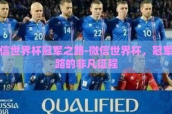 微信世界杯冠军之路-微信世界杯，冠军之路的非凡征程