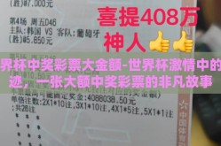 世界杯中奖彩票大金额-世界杯激情中的奇迹，一张大额中奖彩票的非凡故事