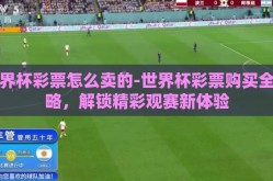 世界杯彩票怎么卖的-世界杯彩票购买全攻略，解锁精彩观赛新体验