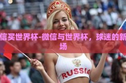 微信买世界杯-微信与世界杯，球迷的新战场