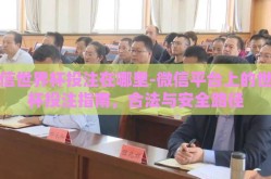 微信世界杯投注在哪里-微信平台上的世界杯投注指南，合法与安全路径