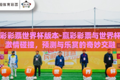 赢彩彩票世界杯版本-赢彩彩票与世界杯的激情碰撞，预测与乐赏的奇妙交融