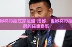 世界杯彩票庄家是谁-揭秘，世界杯彩票背后的庄家身影