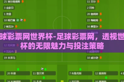 足球彩票网世界杯-足球彩票网，透视世界杯的无限魅力与投注策略
