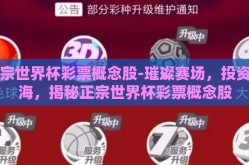 正宗世界杯彩票概念股-璀璨赛场，投资蓝海，揭秘正宗世界杯彩票概念股