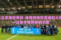 在北京赌世界杯-体育热情在京城的火花，一次关于世界杯的小聚