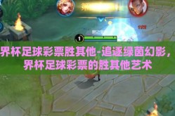 世界杯足球彩票胜其他-追逐绿茵幻影，世界杯足球彩票的胜其他艺术