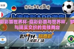 赢彩彩票世界杯-赢彩彩票与世界杯，梦想与现实交织的竞技舞台