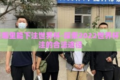 在哪里能下注世界杯-探索2022世界杯下注的合法途径