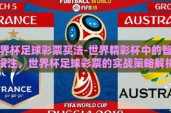 世界杯足球彩票买法-世界精彩杯中的智慧投注，世界杯足球彩票的实战策略解析