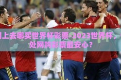 网上去哪买世界杯彩票-2023世界杯，何处网购彩票最安心？