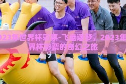 2023年世界杯彩票-飞盘逐梦，2023年世界杯彩票的奇幻之旅