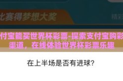 支付宝能买世界杯彩票-探索支付宝购彩新渠道，在线体验世界杯彩票乐趣