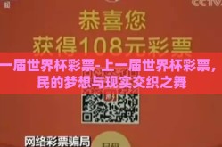 上一届世界杯彩票-上一届世界杯彩票，彩民的梦想与现实交织之舞