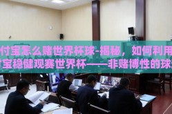 支付宝怎么赌世界杯球-揭秘，如何利用支付宝稳健观赛世界杯——非赌博性的球迷指南