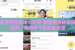 微信世界杯赌球小程序-微信世界杯赌球小程序，双刃剑下的灰色地带