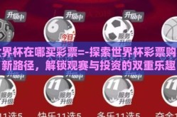 世界杯在哪买彩票=-探索世界杯彩票购买新路径，解锁观赛与投资的双重乐趣