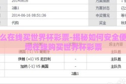 怎么在线买世界杯彩票-揭秘如何安全便捷地在线购买世界杯彩票