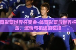 体育彩票世界杯奖金-体育彩票与世界杯奖金，激情与机遇的碰撞