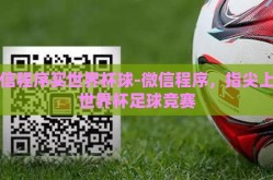 微信程序买世界杯球-微信程序，指尖上的世界杯足球竞赛