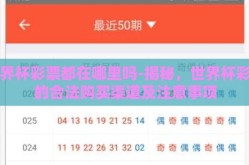 世界杯彩票都在哪里吗-揭秘，世界杯彩票的合法购买渠道及注意事项