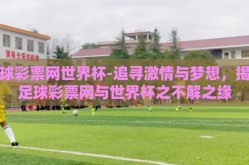 足球彩票网世界杯-追寻激情与梦想，揭秘足球彩票网与世界杯之不解之缘