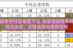 足球世界杯在哪里下注-掌握足球世界杯的投注选择，关键选项与策略浅析