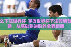怎么下注世界杯-掌握世界杯下注的明智策略，从基础到进阶的全面指南