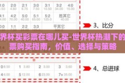 世界杯买彩票在哪儿买-世界杯热潮下的彩票购买指南，价值、选择与策略