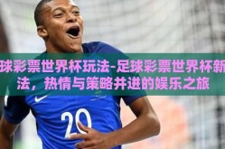 足球彩票世界杯玩法-足球彩票世界杯新玩法，热情与策略并进的娱乐之旅