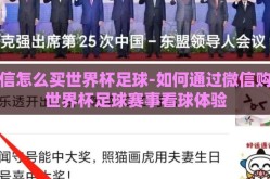 微信怎么买世界杯足球-如何通过微信购买世界杯足球赛事看球体验