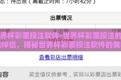 世界杯彩票投注软件-世界杯彩票投注的智能伴侣，揭秘世界杯彩票投注软件的奥秘