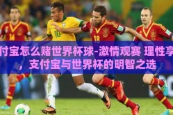 支付宝怎么赌世界杯球-激情观赛 理性享受，支付宝与世界杯的明智之选
