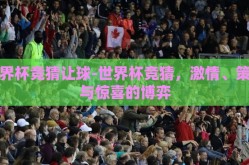 世界杯竞猜让球-世界杯竞猜，激情、策略与惊喜的博弈
