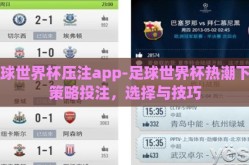 足球世界杯压注app-足球世界杯热潮下的策略投注，选择与技巧