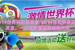 2014世界杯彩票奖金-2014年世界杯彩票奖金，一次狂欢盛宴的金融火花