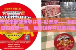 彩票店里能买世界杯吗-彩票店——购彩世界里的趣味一隅，揭秘世界杯彩票购买奥秘