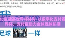 支付宝能买世界杯体彩-从数字化支付看世界杯，支付宝助力全球足球热潮