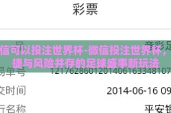 微信可以投注世界杯-微信投注世界杯，便捷与风险并存的足球盛事新玩法