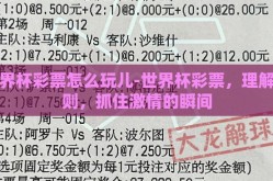 世界杯彩票怎么玩儿-世界杯彩票，理解规则，抓住激情的瞬间