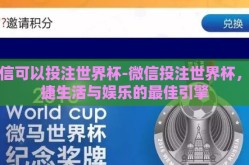微信可以投注世界杯-微信投注世界杯，便捷生活与娱乐的最佳引擎