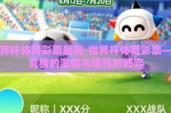 世界杯体育彩票最高-世界杯体育彩票——竞猜的激情与理性的博弈