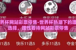 世界杯网站彩票停售-世界杯热潮下的理智选择，理性看待网站彩票停售