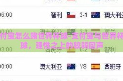支付宝怎么赌世界杯球-支付宝与世界杯赌球，理性之上的较弱回声