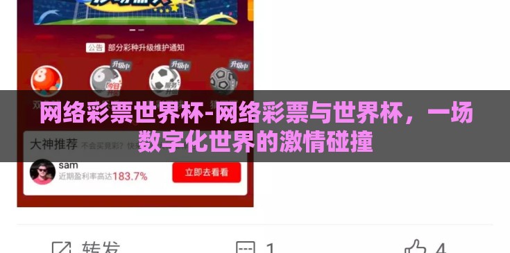 网络彩票世界杯-网络彩票与世界杯，一场数字化世界的激情碰撞