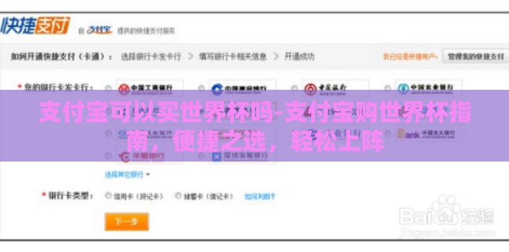 支付宝可以买世界杯吗-支付宝购世界杯指南，便捷之选，轻松上阵