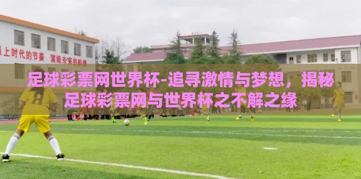 足球彩票网世界杯-追寻激情与梦想，揭秘足球彩票网与世界杯之不解之缘