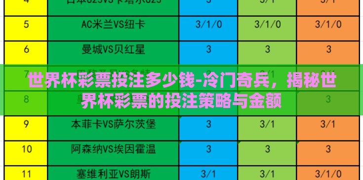 世界杯彩票投注多少钱-冷门奇兵，揭秘世界杯彩票的投注策略与金额