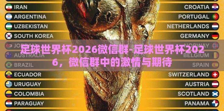 足球世界杯2026微信群-足球世界杯2026，微信群中的激情与期待