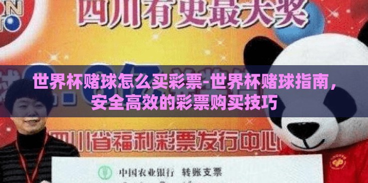 世界杯赌球怎么买彩票-世界杯赌球指南,安全高效的彩票购买技巧 世界杯赌球怎么买彩票-世界杯赌球指南,安全高效的彩票购买技巧